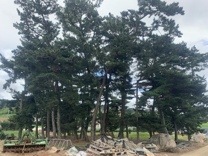 충청남도 태안군 태안읍 반곡리 708-11 전 경매 사진 7