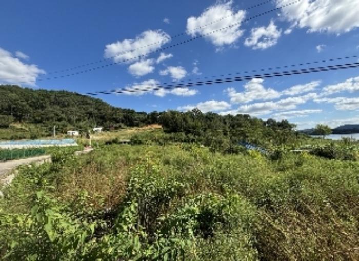 충청북도 옥천군 옥천읍 오대리 882-2 전 경매 사진 7