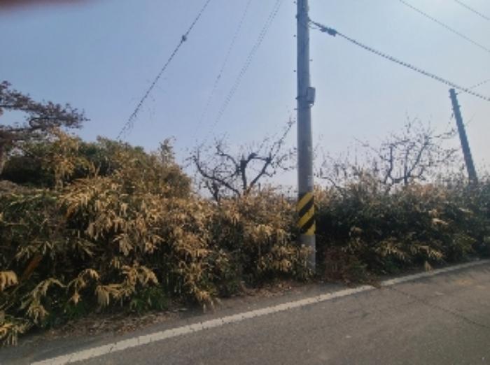 전라남도 나주시 금천면 원곡길 209구) 전라남도 나주시 금천면 촌곡리 507-9 창고 경매 사진 57