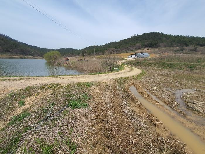 전라남도 영광군 홍농읍 성산리 72 답 경매 사진 24