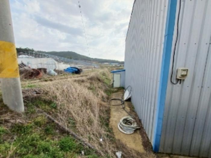 전라남도 영광군 홍농읍 성산리 72 답 경매 사진 52