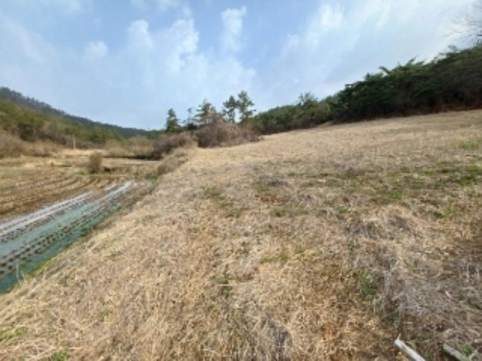 전라남도 영광군 홍농읍 성산리 72 답 경매 사진 63