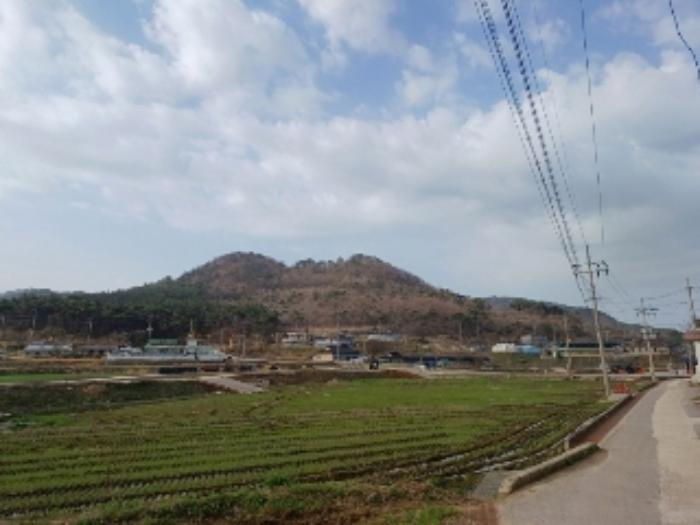 전라남도 영광군 홍농읍 성산리 72 답 경매 사진 64