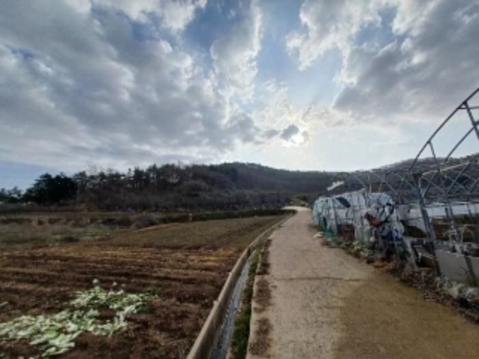 전라남도 영광군 홍농읍 성산리 72 답 경매 사진 65