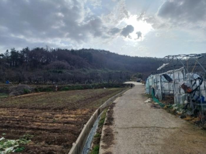 전라남도 영광군 홍농읍 성산리 72 답 경매 사진 66