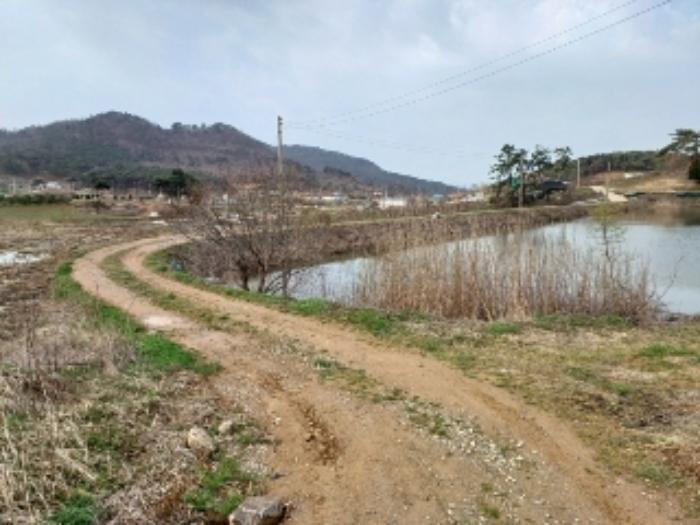 전라남도 영광군 홍농읍 성산리 72 답 경매 사진 68