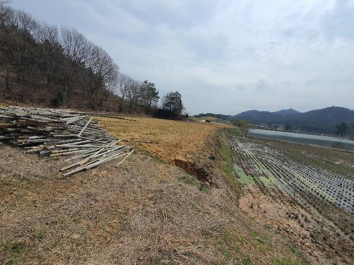 전라남도 영광군 홍농읍 성산리 산127 임야 경매 사진 1