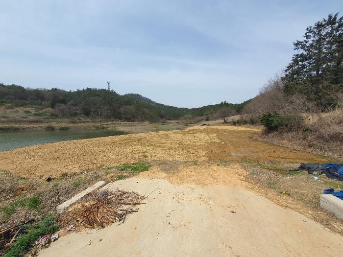 전라남도 영광군 홍농읍 성산리 산127 임야 경매 사진 10