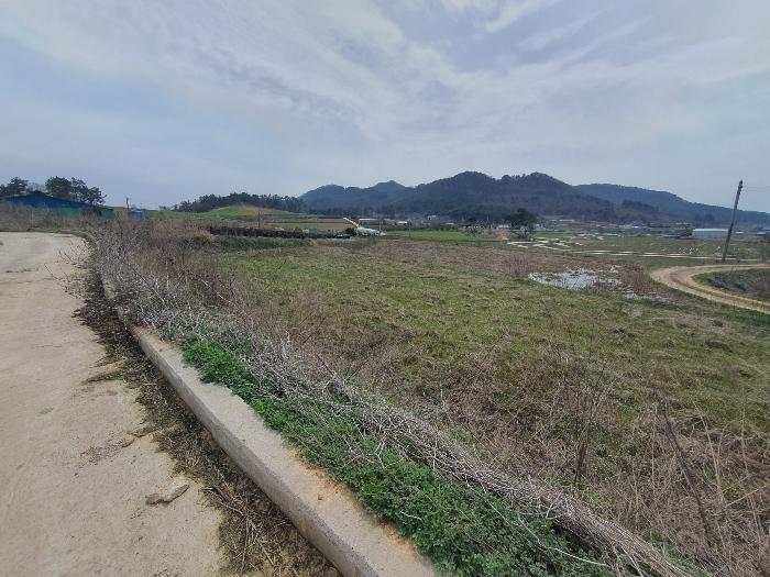 전라남도 영광군 홍농읍 성산리 산127 임야 경매 사진 14