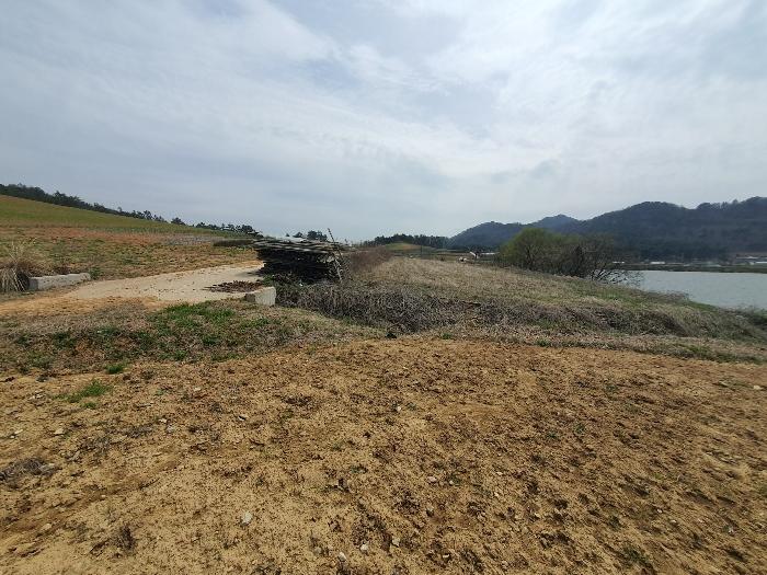 전라남도 영광군 홍농읍 성산리 산127 임야 경매 사진 15