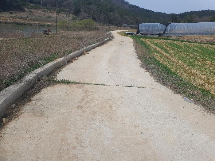 전라남도 영광군 홍농읍 성산리 산127 임야 경매 사진 16