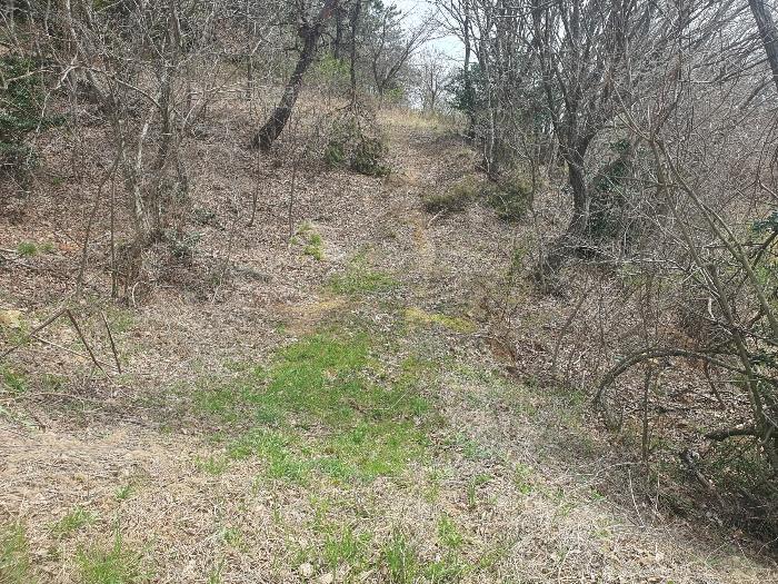 전라남도 영광군 홍농읍 성산리 산127 임야 경매 사진 18