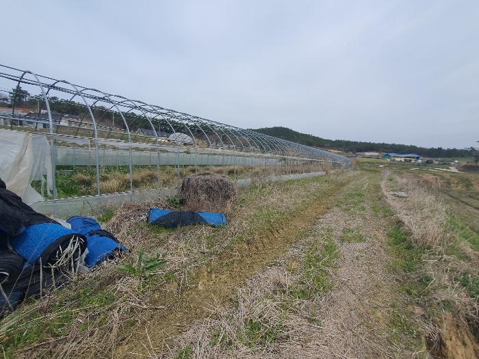 전라남도 영광군 홍농읍 성산리 산127 임야 경매 사진 20