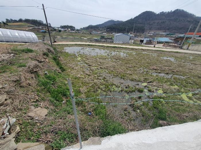 전라남도 영광군 홍농읍 성산리 산127 임야 경매 사진 21