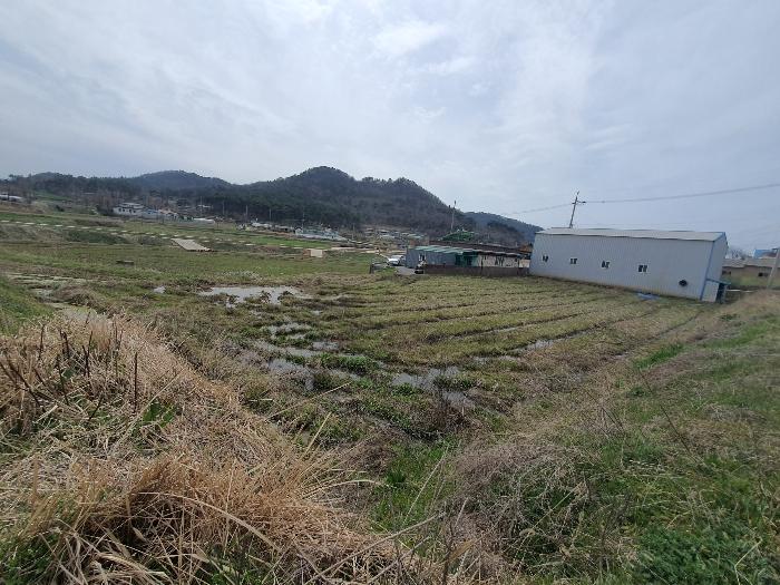 전라남도 영광군 홍농읍 성산리 산127 임야 경매 사진 28