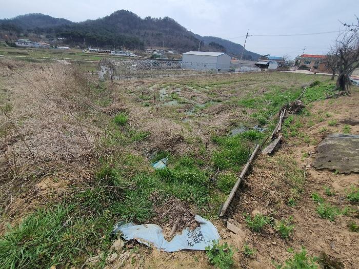 전라남도 영광군 홍농읍 성산리 산127 임야 경매 사진 31