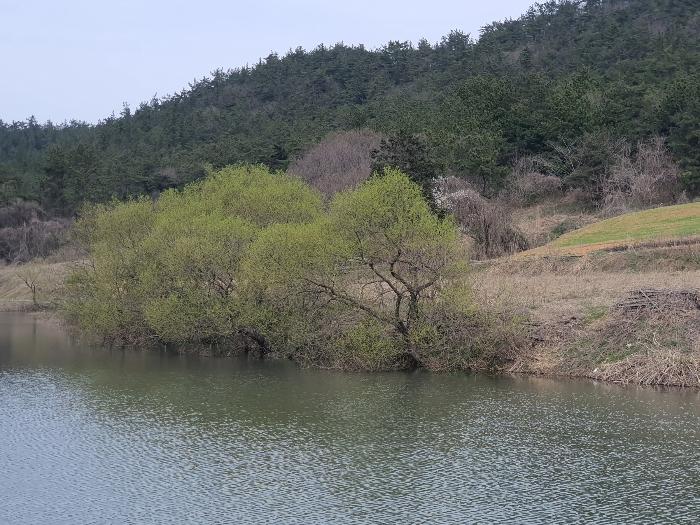 전라남도 영광군 홍농읍 성산리 산127 임야 경매 사진 36