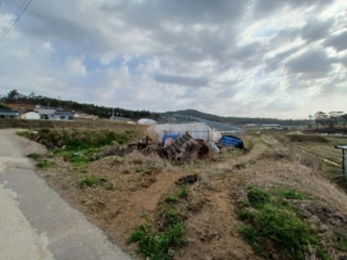 전라남도 영광군 홍농읍 성산리 산127 임야 경매 사진 42