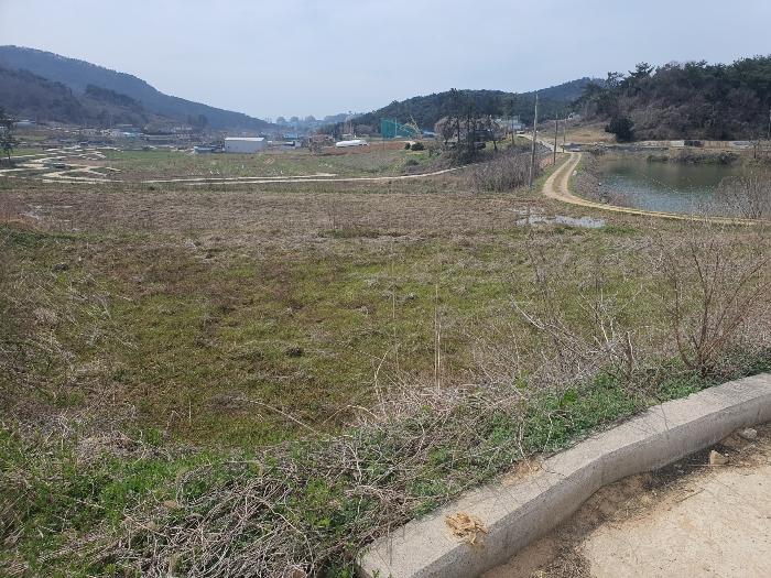 전라남도 영광군 홍농읍 성산리 산127 임야 경매 사진 5
