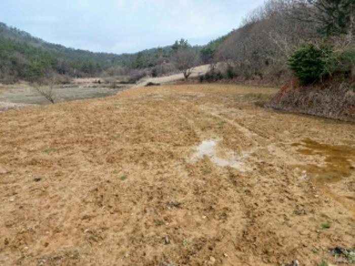 전라남도 영광군 홍농읍 성산리 산127 임야 경매 사진 50