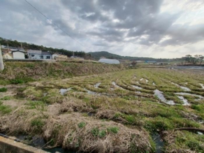 전라남도 영광군 홍농읍 성산리 산127 임야 경매 사진 54