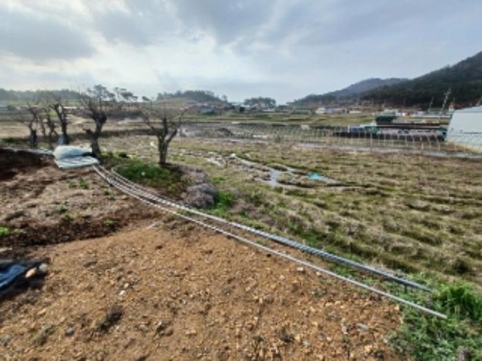 전라남도 영광군 홍농읍 성산리 산127 임야 경매 사진 56