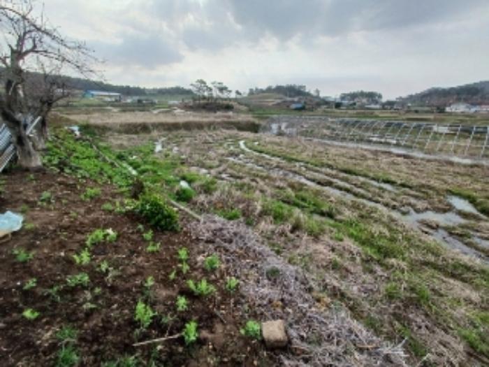 전라남도 영광군 홍농읍 성산리 산127 임야 경매 사진 57