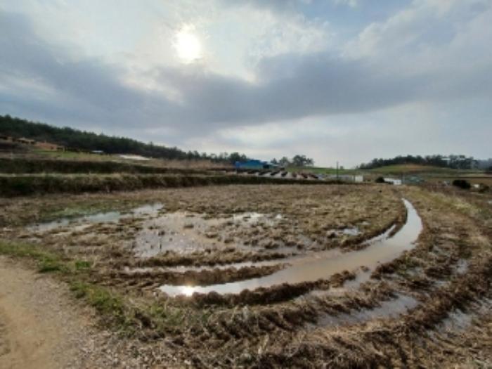 전라남도 영광군 홍농읍 성산리 산127 임야 경매 사진 58