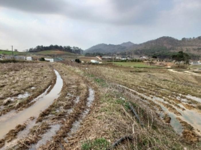 전라남도 영광군 홍농읍 성산리 산127 임야 경매 사진 60