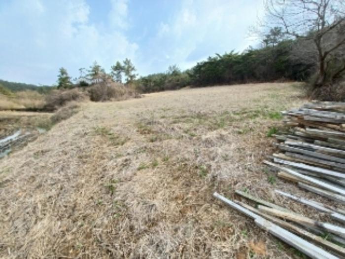 전라남도 영광군 홍농읍 성산리 산127 임야 경매 사진 61