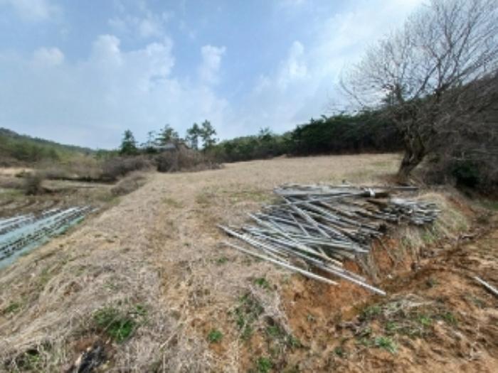 전라남도 영광군 홍농읍 성산리 산127 임야 경매 사진 62