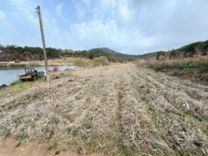 전라남도 영광군 홍농읍 성산리 산127 임야 경매 사진 72