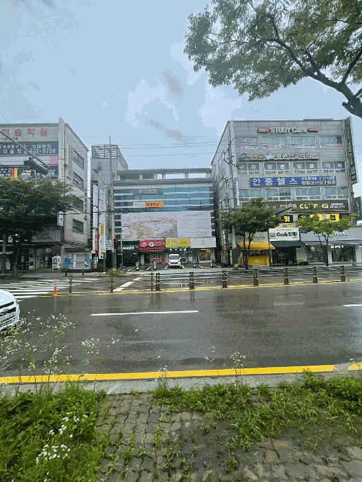 경기도 평택시 안중읍 현화리 250-4 근린시설 경매 사진 3