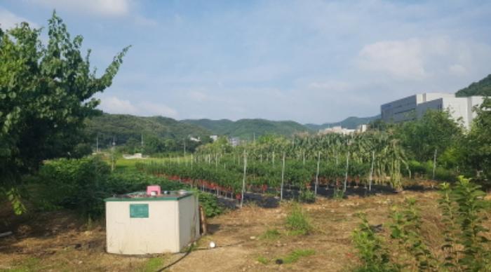 경기도 안성시 원곡면 성주리 307-1 주택 경매 사진 31