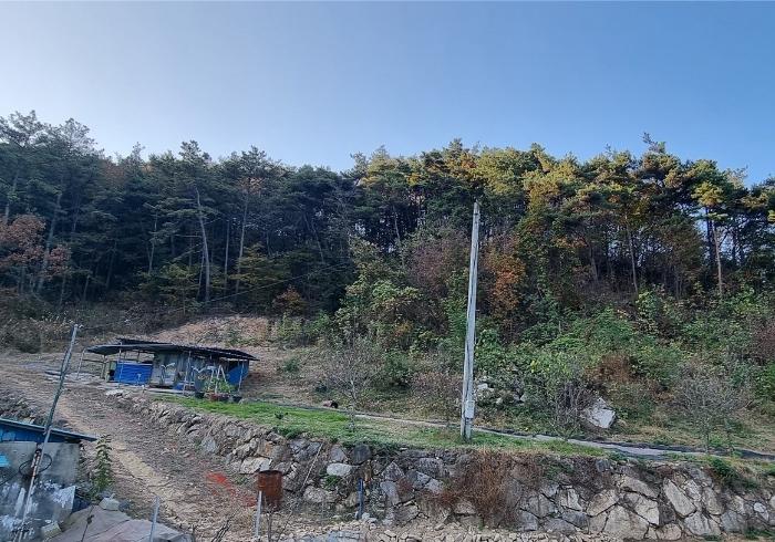 경상남도 산청군 단성면 방목리 914-8 도로 경매 사진 11