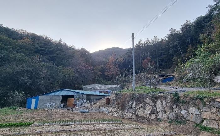 경상남도 산청군 단성면 방목리 914-8 도로 경매 사진 12