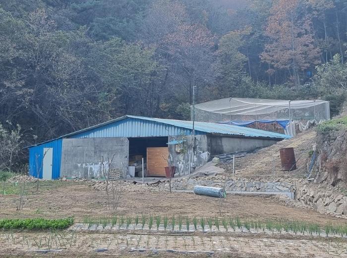 경상남도 산청군 단성면 방목리 914-8 도로 경매 사진 17
