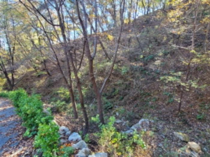 경상남도 산청군 단성면 방목리 914-8 도로 경매 사진 32