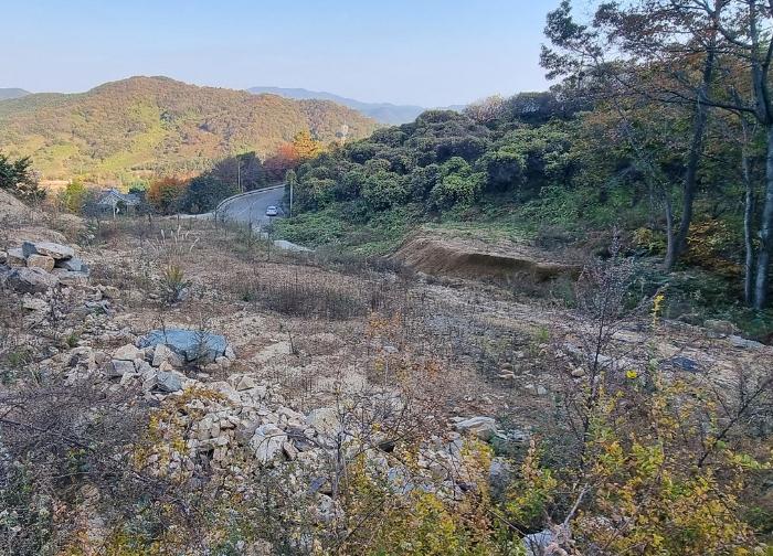 경상남도 산청군 단성면 방목리 950-1 임야 경매 사진 19