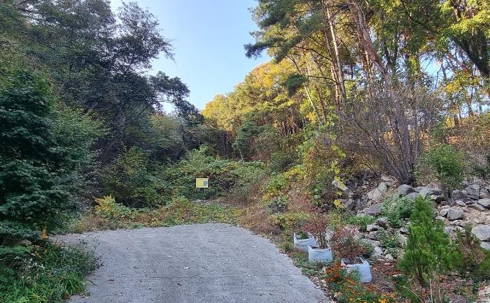 경상남도 산청군 단성면 방목리 950-1 임야 경매 사진 2