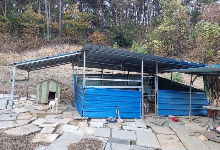 경상남도 산청군 단성면 방목리 950-1 임야 경매 사진 25