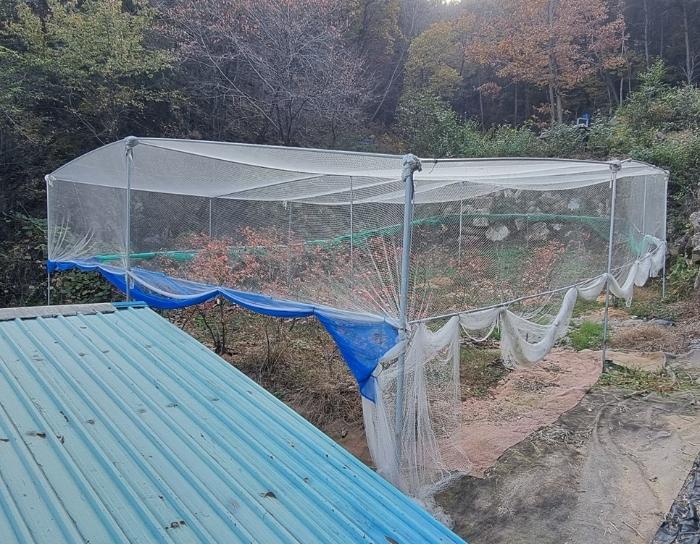 경상남도 산청군 단성면 방목리 950-1 임야 경매 사진 28