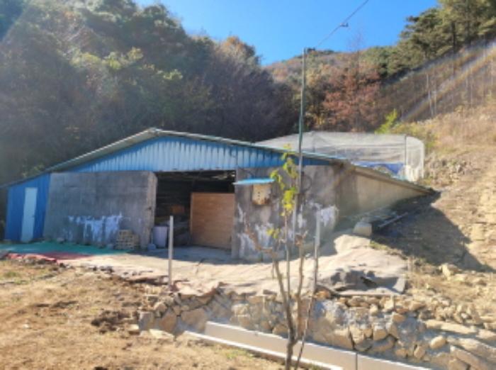 경상남도 산청군 단성면 방목리 950-1 임야 경매 사진 36
