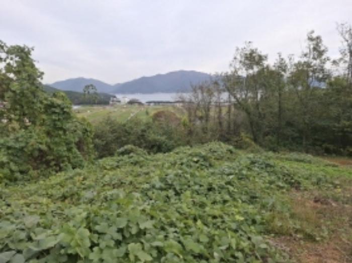 경상남도 남해군 남면 석교리 1191-5 전 경매 사진 14