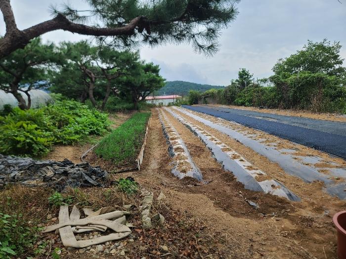 경상남도 거제시 거제면 옥산리 199 전 경매 사진 10