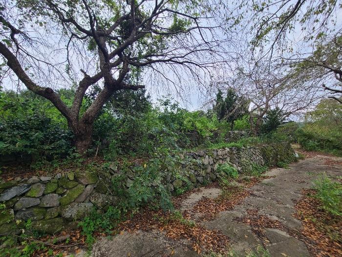 경상남도 거제시 거제면 옥산리 199 전 경매 사진 12