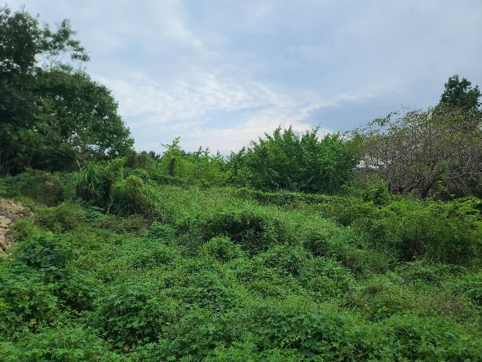 경상남도 거제시 거제면 옥산리 199 전 경매 사진 13