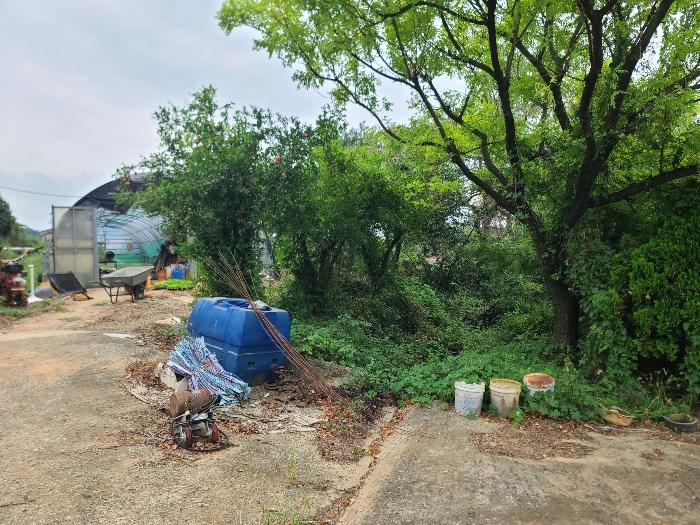 경상남도 거제시 거제면 옥산리 199 전 경매 사진 14