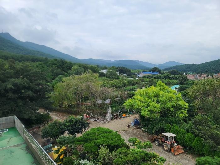 경상남도 거제시 거제면 옥산리 199 전 경매 사진 17