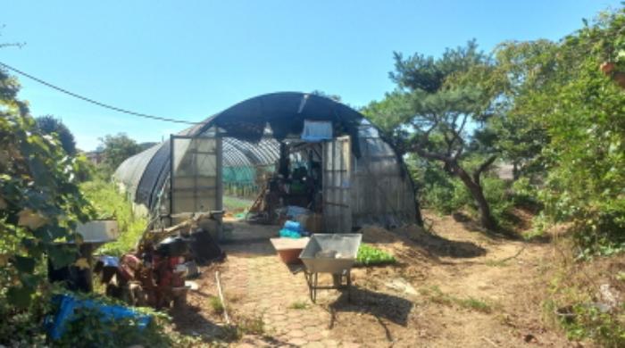 경상남도 거제시 거제면 옥산리 199 전 경매 사진 18